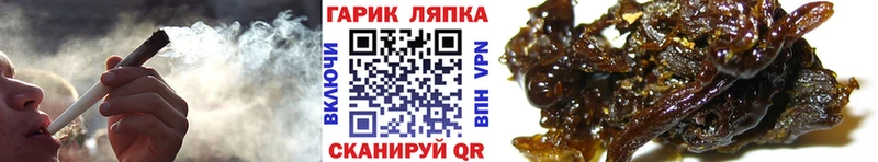 Купить закладки  Баксан  ГАШ Premium 