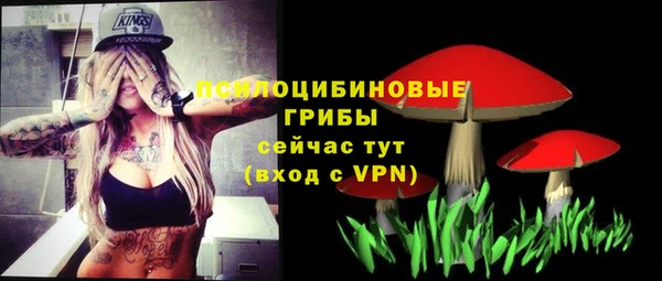 винт Кодинск