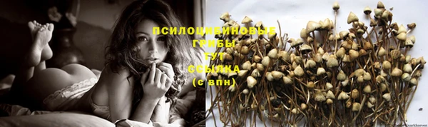 ГАЛЛЮЦИНОГЕННЫЕ ГРИБЫ Козельск