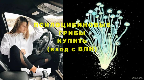 ешки Козловка
