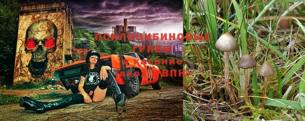 винт Кодинск