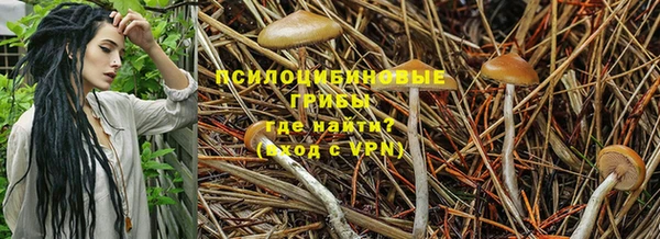 винт Кодинск