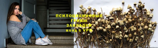 ешки Козловка